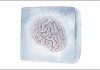 Brain freeze! coursebooks