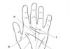 Let me read your palm student in classroom