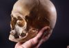 Bringing Shakespeare into the classroom choose language