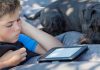 Five Sizzling Summer Reads for English Learners Summary and paraphrase strategies(1)