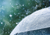 Idioms in ELT: the icing on the cake or something to steer clear of? student in classroom