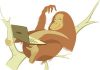 Webwatcher: using surveys with Survey Monkey Englis for texting
