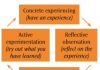 Teacher learning though language proficiency student in classroom
