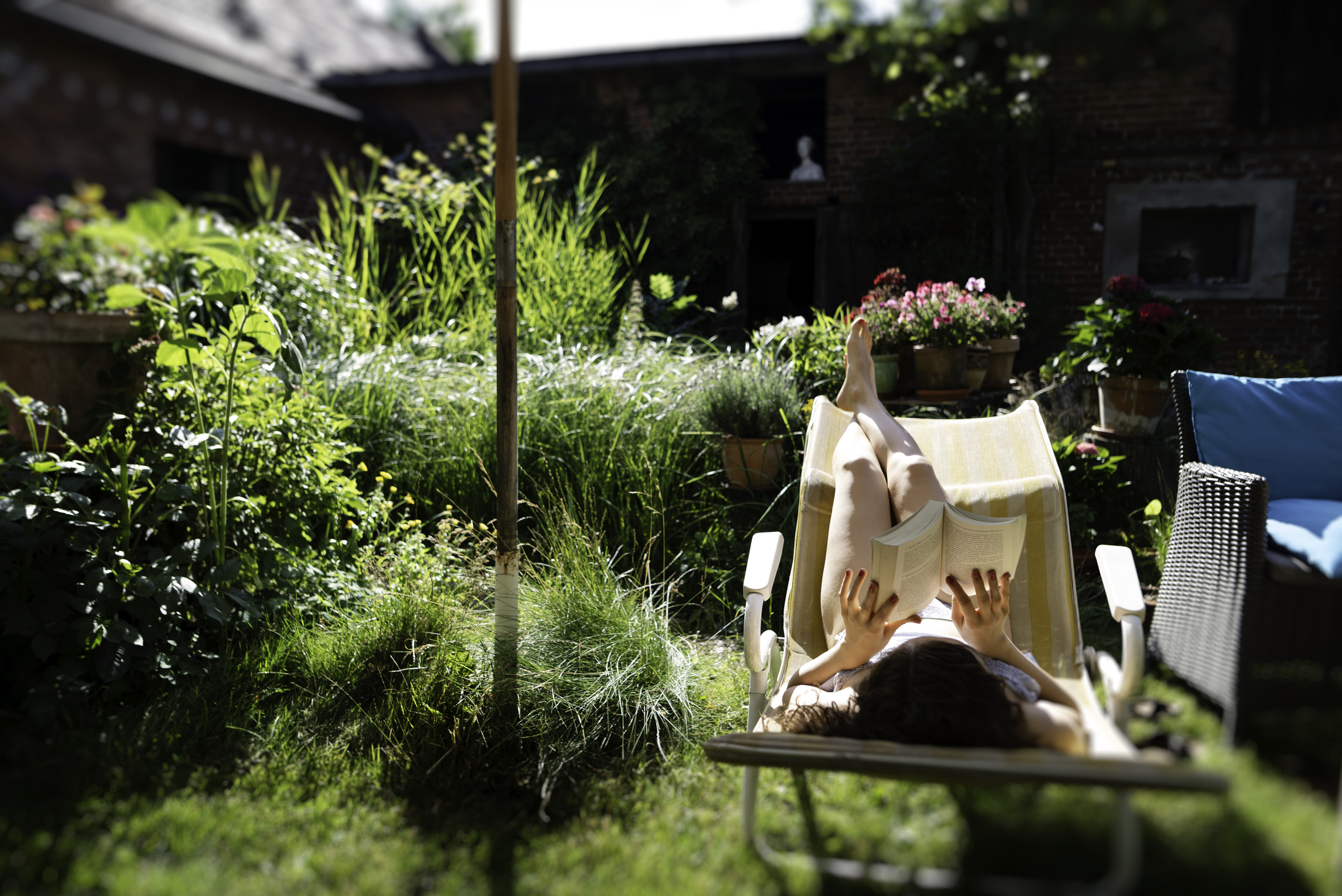 A person is reclining on a sun lounger in a lush garden, reading a book. The garden is filled with a variety of green plants and flowers, and the scene is sunlit, creating a relaxing, summery atmosphere.