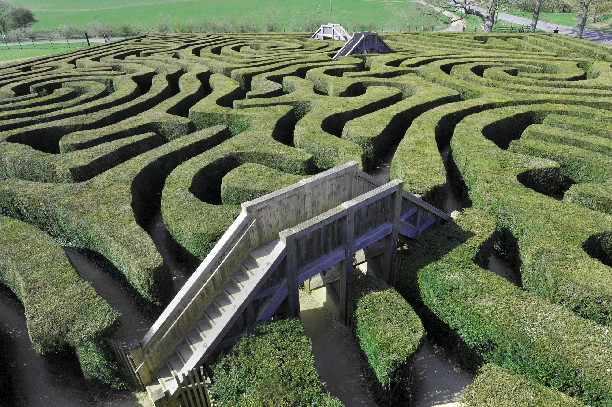 Garden maze with bridges