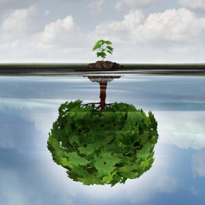 A small tree growing on a narrow patch of soil, with its roots extending into water, forming a large, round mass of green leaves beneath the surface, reflecting a contrast between above and underwater growth.