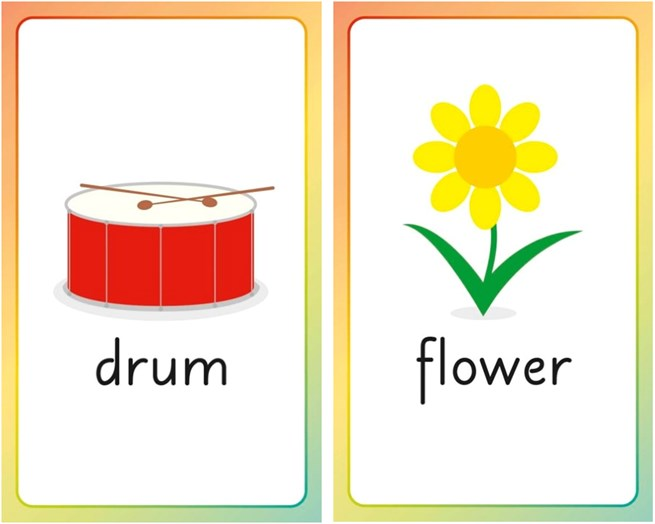 Two flashcards, one with an illustration of a red drum and drumsticks labeled 