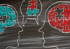 Jigsaw learning with video Illustration of two heads drawn on a chalkboard, each filled with puzzle pieces, one in blue and the other in red, with a central puzzle piece bridging the two.