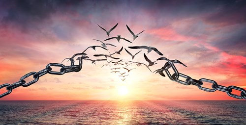 A flock of birds flying in a V formation with chains transforming into birds against a vibrant sunset over the ocean.