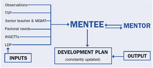 A flowchart illustrating a mentoring process. 