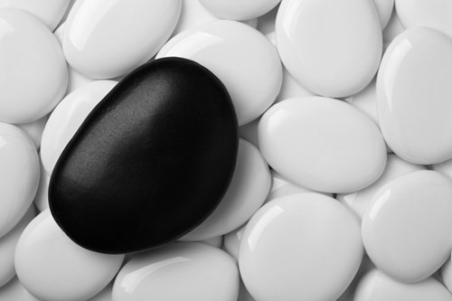 A single black stone surrounded by smooth white stones.