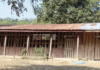 Building an international learning community – and a village school A simple wooden building with a corrugated metal roof, featuring a series of vertical wooden slats as walls, situated in a rural area with trees in the background.