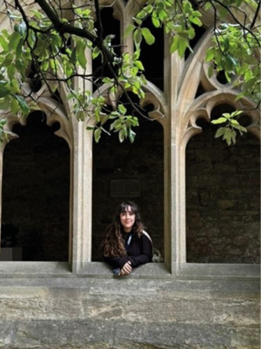 A person with long hair and a dark jacket leans on a stone windowsill framed by Gothic arch windows. Above, leafy branches partially obscure the top of the image. The background features a stone wall, suggesting a historical or academic building.