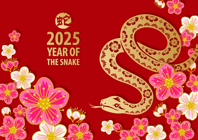 Illustration featuring a decorative snake surrounded by colourful flowers on a red background with text 