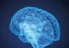 Before we meet in the metaverse – on a transformation quest image of brain